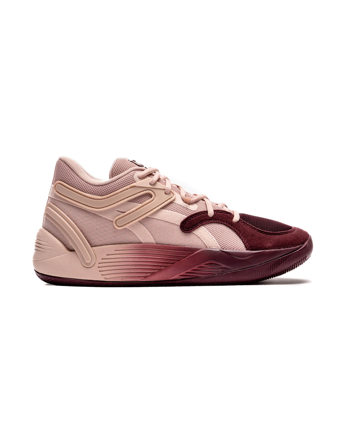 Puma rose clearance pal